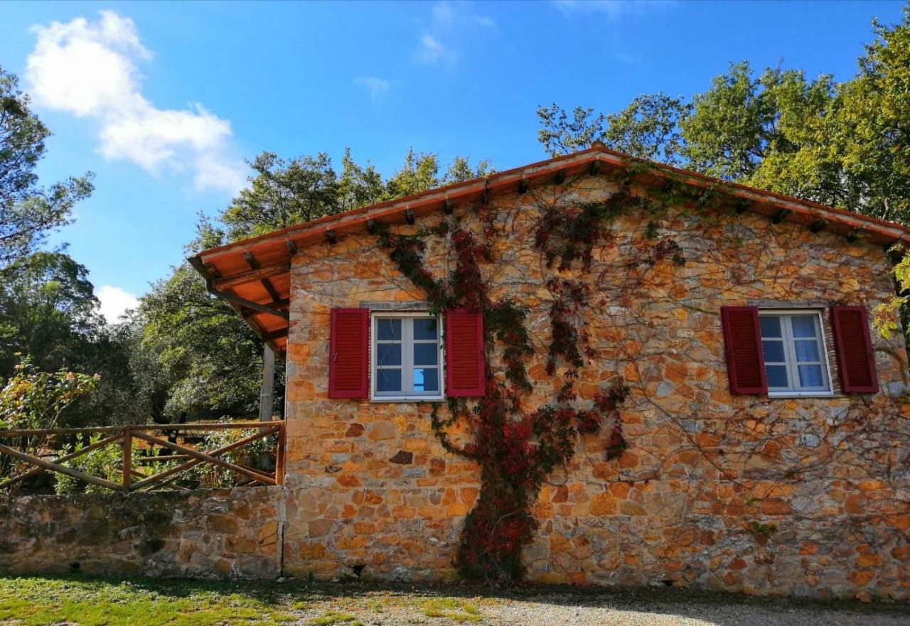 Il Daino Bianco Country Hotel Manciano Exteriör bild